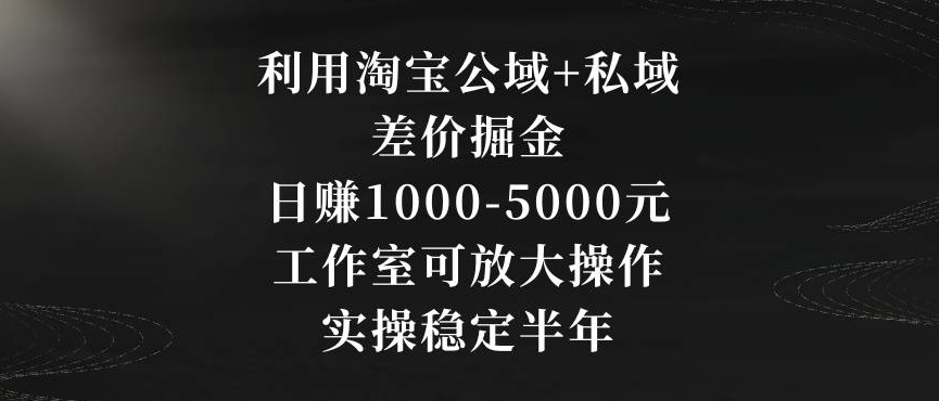 利用淘宝公域+私域差价掘金，日赚1000-5000元，工作室可放大操作，实操稳定半年【揭秘】-86资源库