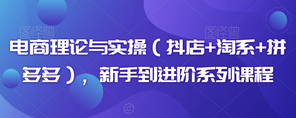 电商理论与实操（抖店+淘系+拼多多），新手到进阶系列课程-86资源库