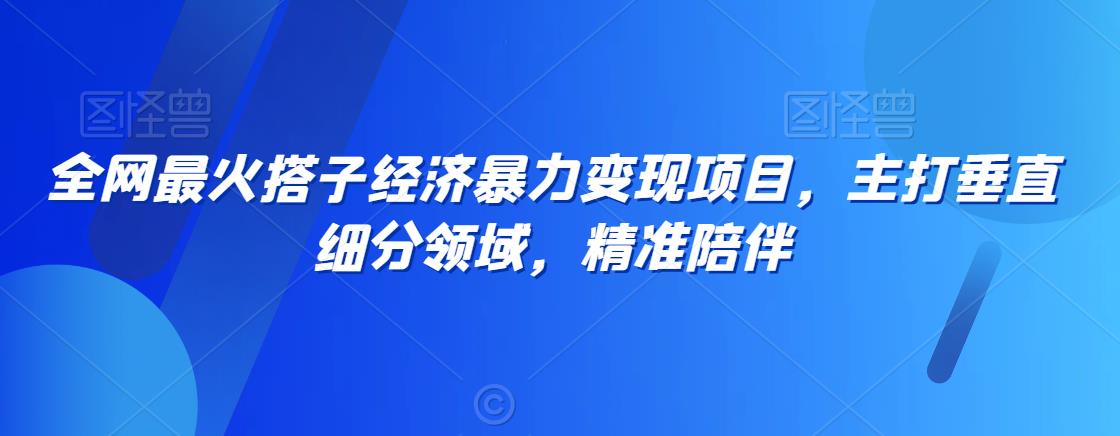 全网最火搭子经济暴力变现项目，主打垂直细分领域，精准陪伴【揭秘】-86资源库
