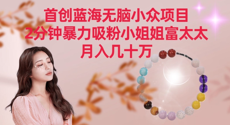 首创蓝海无脑小众项目，2分钟暴力吸粉小姐姐富太太，月入几十万【揭秘】-86资源库