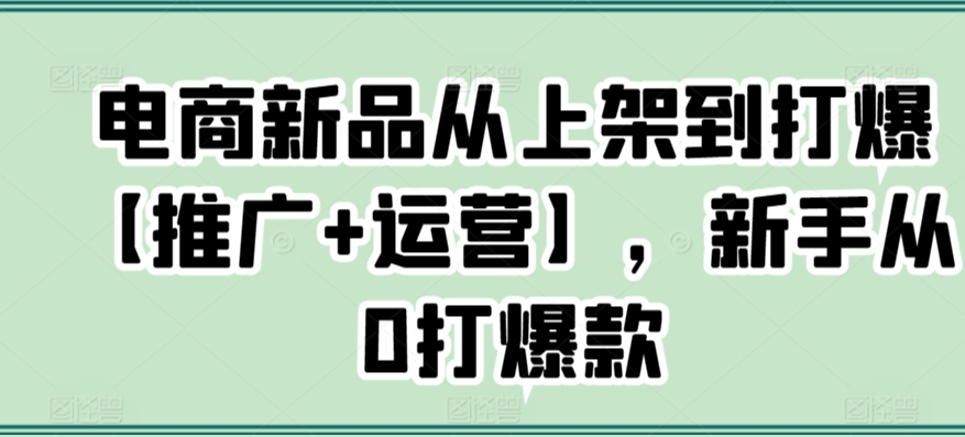 电商新品从上架到打爆【推广+运营】，新手从0打爆款-86资源库