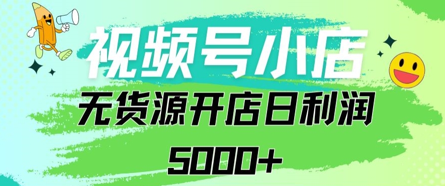 视频号无货源小店从0到1日订单量千单以上纯利润稳稳5000+【揭秘】-86资源库