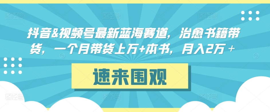 抖音&视频号最新蓝海赛道，治愈书籍带货，一个月带货上万+本书，月入2万＋【揭秘】-86资源库
