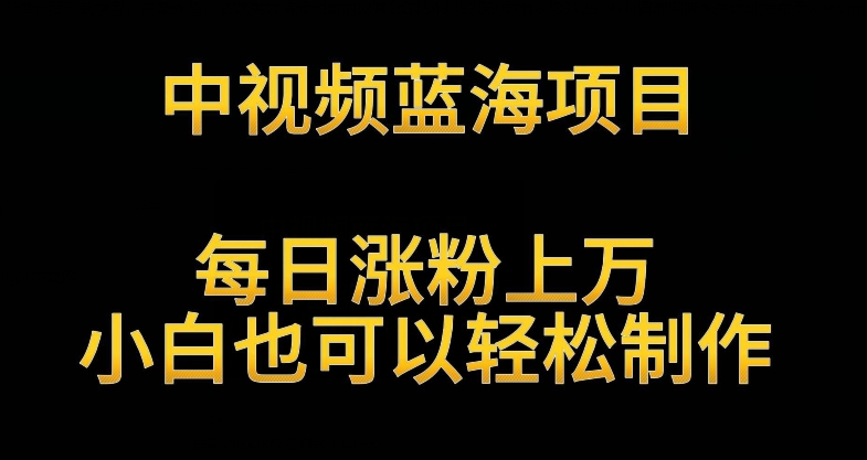 中视频蓝海项目，解读英雄人物生平，每日涨粉上万，小白也可以轻松制作，月入过万不是梦【揭秘】-86资源库