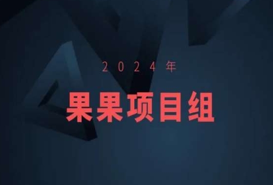 2024年果果项目组项目合集-果果最新项目-86资源库