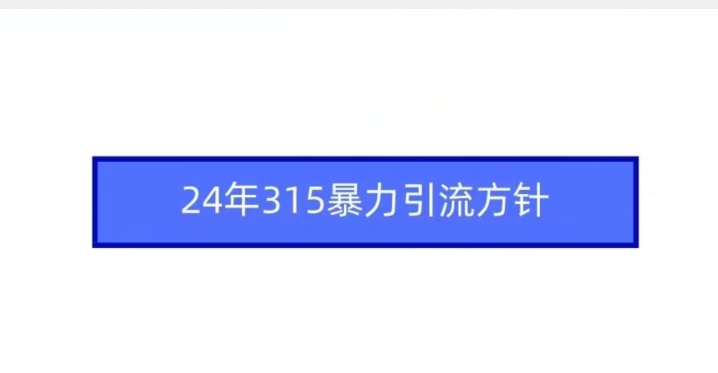 24年315暴力引流方针-86资源库
