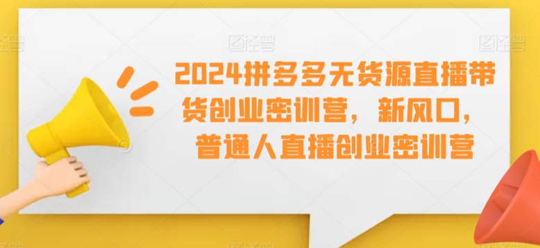 2024拼多多无货源直播带货创业密训营，新风口，普通人直播创业密训营-86资源库