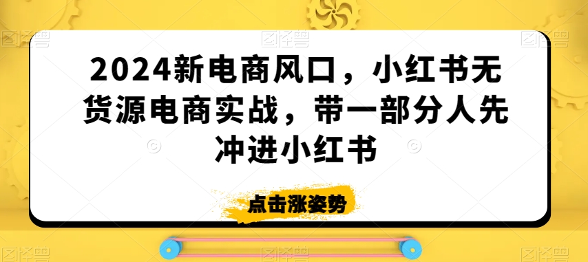 2024新电商风口，小红书无货源电商实战，带一部分人先冲进小红书-86资源库