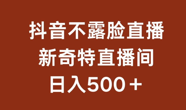 不露脸挂机直播，新奇特直播间，日入500+【揭秘】-86资源库