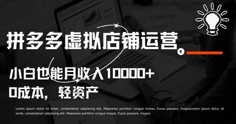 拼多多虚拟店铺运营小白也能月收入10000+【揭秘】-86资源库
