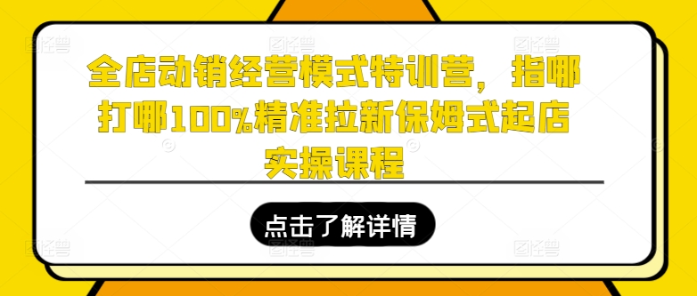 全店动销经营模式特训营，指哪打哪100%精准拉新保姆式起店实操课程-86资源库