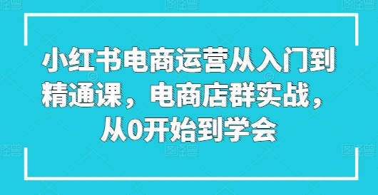 小红书电商运营从入门到精通课，电商店群实战，从0开始到学会-86资源库