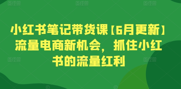 小红书笔记带货课【6月更新】流量电商新机会，抓住小红书的流量红利-86资源库