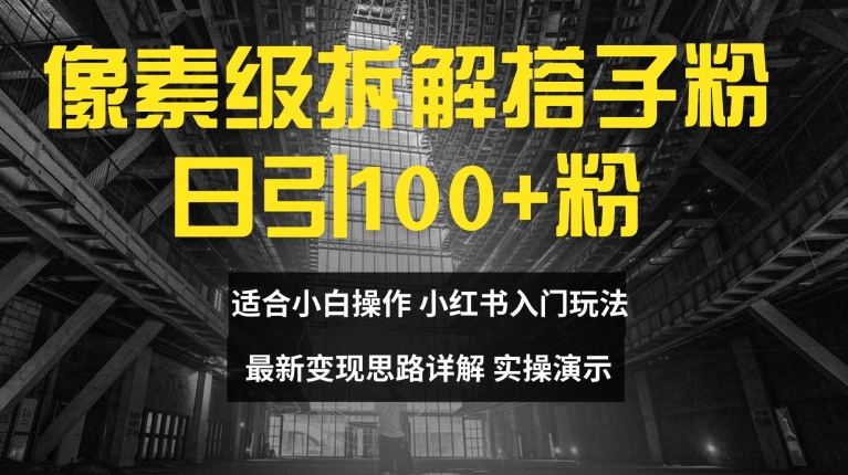 像素级拆解搭子粉，日引100+，小白看完可上手，最新变现思路详解【揭秘】-86资源库