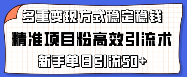 精准项目粉高效引流术，新手单日引流50+，多重变现方式稳定赚钱【揭秘】-86资源库