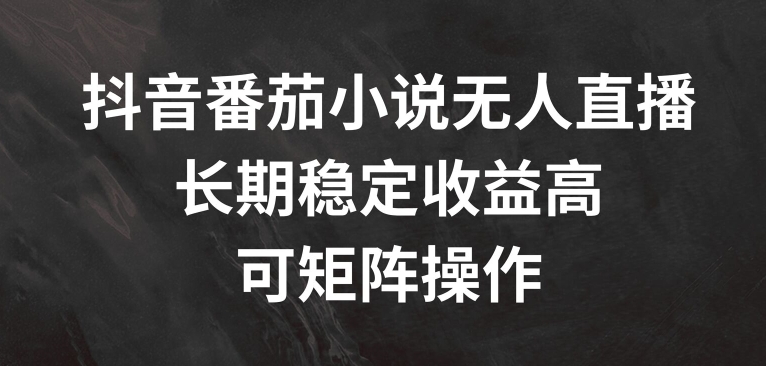 抖音番茄小说无人直播，长期稳定收益高，可矩阵操作【揭秘】-86资源库