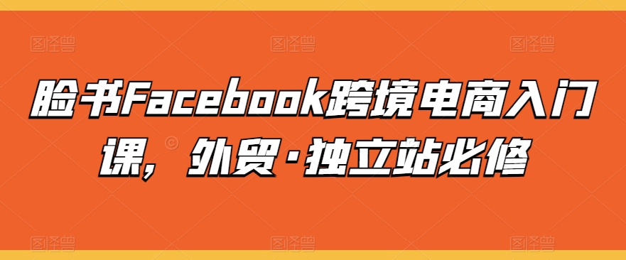 脸书Facebook跨境电商入门课，外贸·独立站必修-86资源库