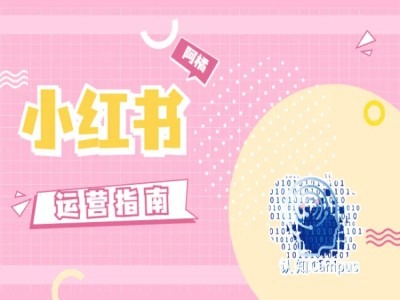 小红书运营指南，没有套路，全是经验-86资源库