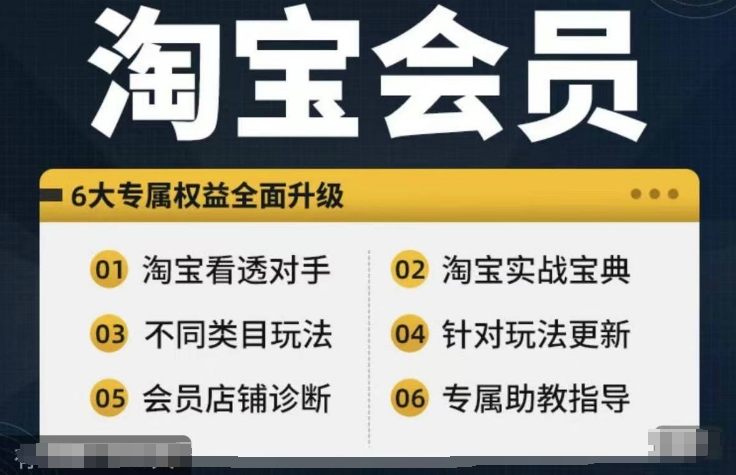 淘宝会员【淘宝所有课程，全面分析对手】，初级到高手全系实战宝典-86资源库
