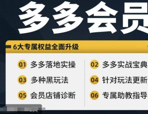 拼多多会员，拼多多实战宝典+实战落地实操，从新手到高阶内容全面覆盖-86资源库