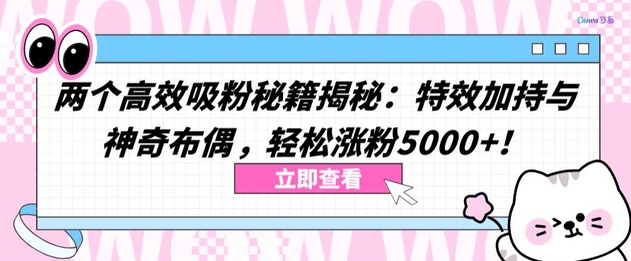 两个高效吸粉秘籍揭秘：特效加持与神奇布偶，轻松涨粉5000+【揭秘】-86资源库