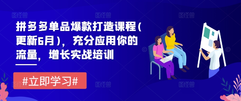 拼多多单品爆款打造课程(更新6月)，充分应用你的流量，增长实战培训-86资源库