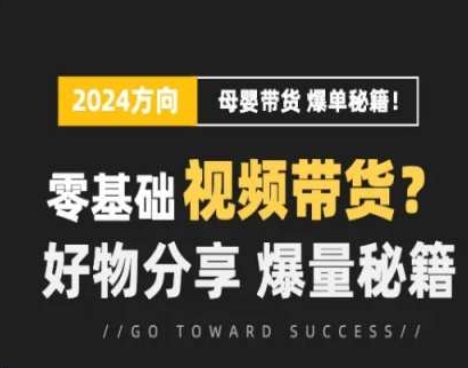 短视频母婴赛道实操流量训练营，零基础视频带货，好物分享，爆量秘籍-86资源库