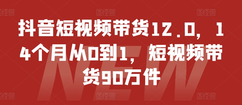 抖音短视频带货12.0，14个月从0到1，短视频带货90万件-86资源库