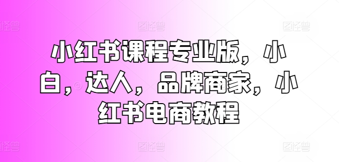 小红书课程专业版，小白，达人，品牌商家，小红书电商教程-86资源库