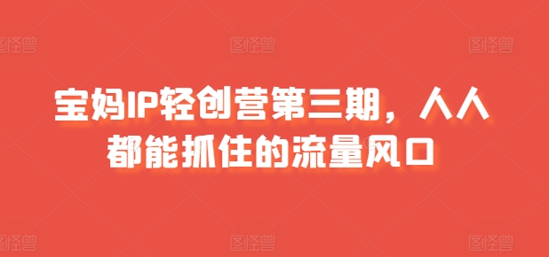 宝妈IP轻创营第三期，人人都能抓住的流量风口-86资源库