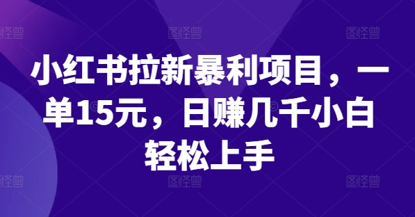 小红书拉新暴利项目，一单15元，日赚几千小白轻松上手【揭秘】-86资源库