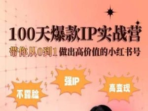 小红书100天爆款IP实战营，带你从0到1做出高价值的小红书号-86资源库