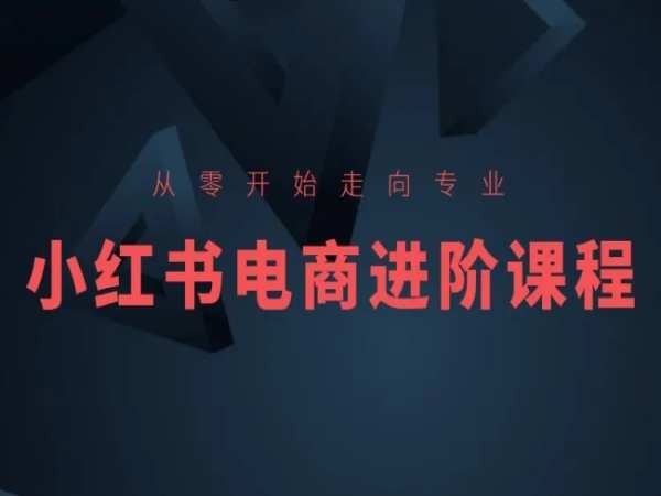 从零开始走向专业，小红书电商进阶课程-86资源库