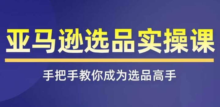 亚马逊选品实操课程，快速掌握亚马逊选品的技巧，覆盖亚马逊选品所有渠道-86资源库