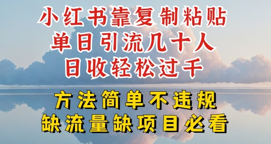 小红书靠复制粘贴单日引流几十人目收轻松过千，方法简单不违规【揭秘】-86资源库