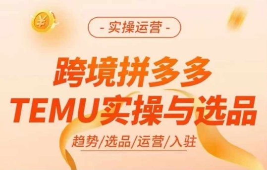 跨境拼多多TEMU实操与选品，多多temu跨境选品运营实操-86资源库