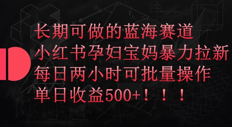 长期可做的蓝海赛道，小红书孕妇宝妈暴力拉新玩法，每日两小时可批量操作，单日收益500+【揭秘】-86资源库