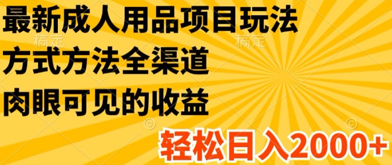 最新成人用品项目玩法，方式方法全渠道，轻松日入2K+【揭秘】-86资源库