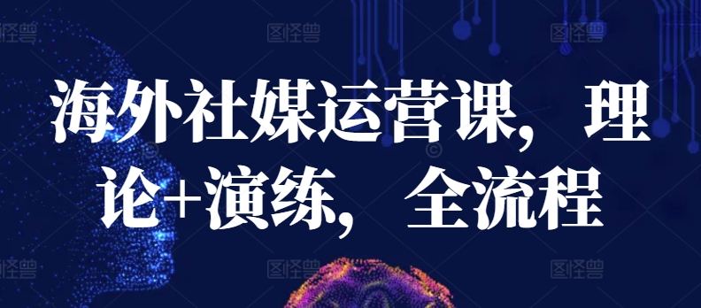 海外社媒运营课，理论+演练，全流程-86资源库