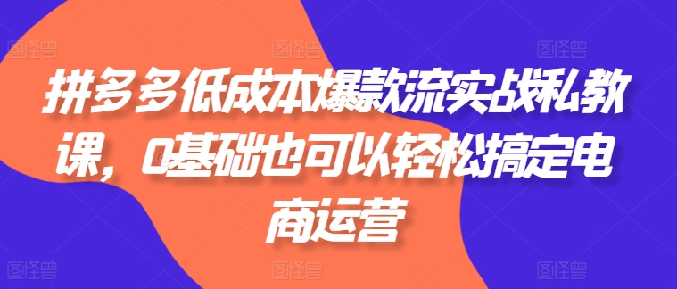 拼多多低成本爆款流实战私教课，0基础也可以轻松搞定电商运营-86资源库