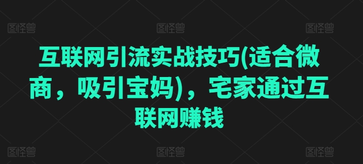 互联网引流实战技巧(适合微商，吸引宝妈)，宅家通过互联网赚钱-86资源库