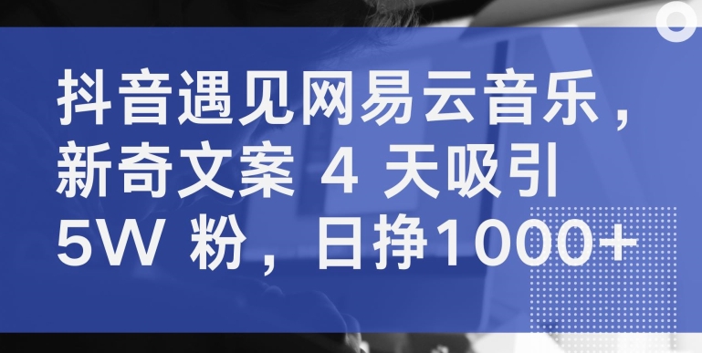 抖音遇见网易云音乐，新奇文案 4 天吸引 5W 粉，日挣1000+【揭秘】-86资源库