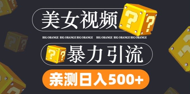 搬运tk美女视频全网分发，日引s粉300+，轻松变现，不限流量不封号【揭秘】-86资源库