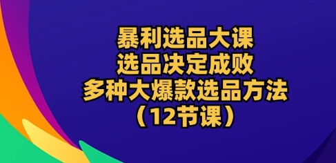 暴利选品大课：选品决定成败，教你多种大爆款选品方法(12节课)-86资源库