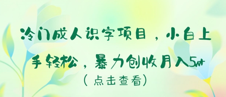 冷门成人识字项目，小白上手轻松，暴力创收月入5w+【揭秘】-86资源库