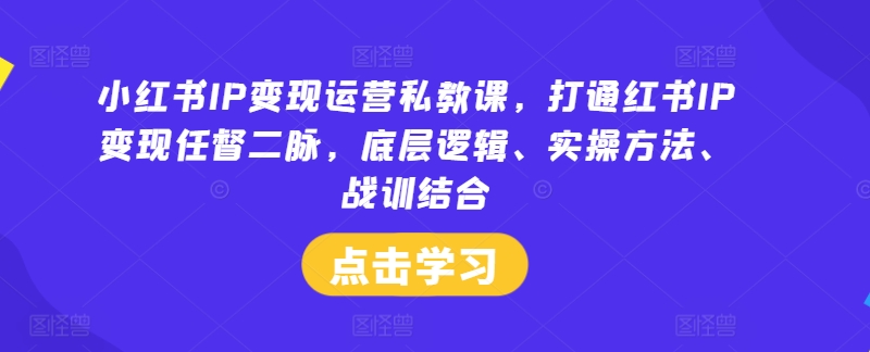 小红书IP变现运营私教课，打通红书IP变现任督二脉，底层逻辑、实操方法、战训结合-86资源库