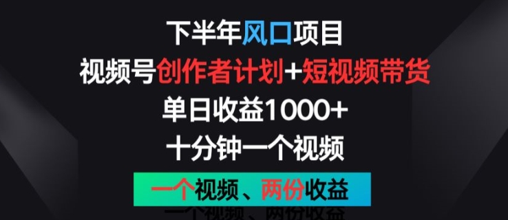 下半年风口项目，视频号创作者计划+视频带货，一个视频两份收益，十分钟一个视频【揭秘】-86资源库