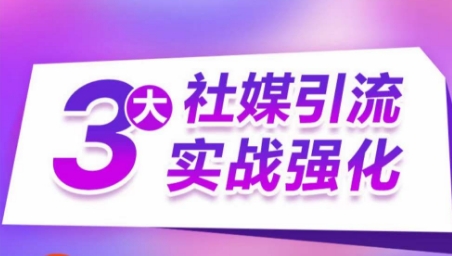 3大社媒引流实战强化，多渠道站外引流，高效精准获客，订单销售额翻倍增长-86资源库