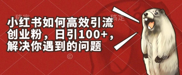 小红书如何高效引流创业粉，日引100+，解决你遇到的问题【揭秘】-86资源库