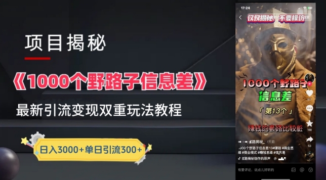 一千个野路子信息差最新玩法教程-变现+引流的玩法具体拆解【揭秘】-86资源库